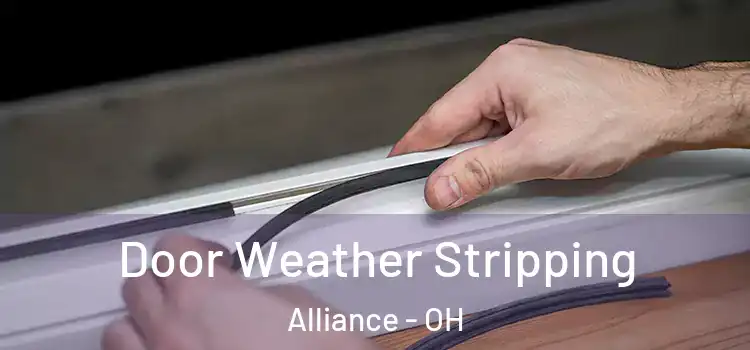 Door Weather Stripping Alliance - OH