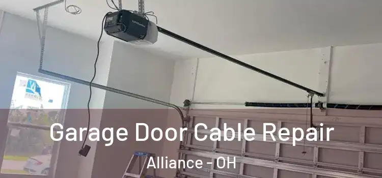  Garage Door Cable Repair Alliance - OH