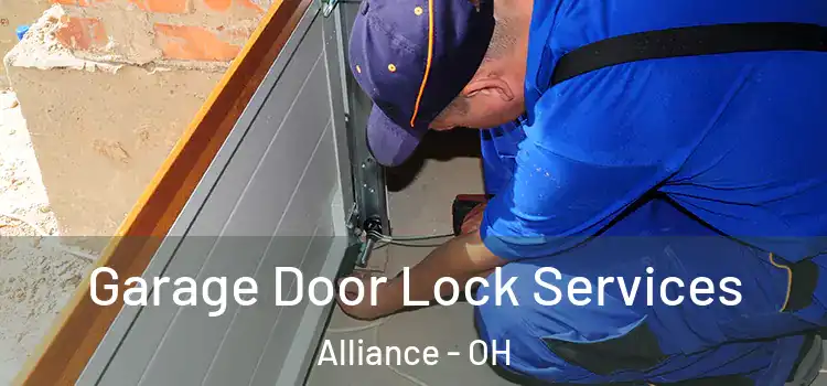 Garage Door Lock Services Alliance - OH