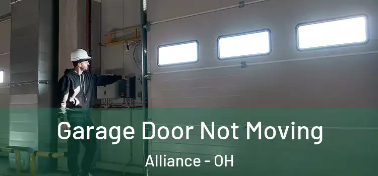  Garage Door Not Moving Alliance - OH