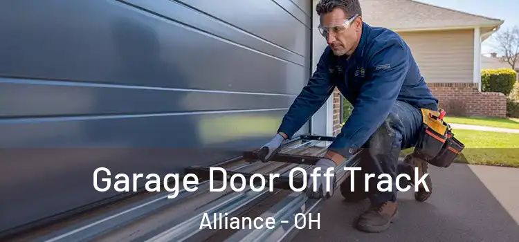  Garage Door Off Track Alliance - OH
