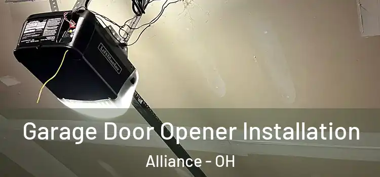  Garage Door Opener Installation Alliance - OH