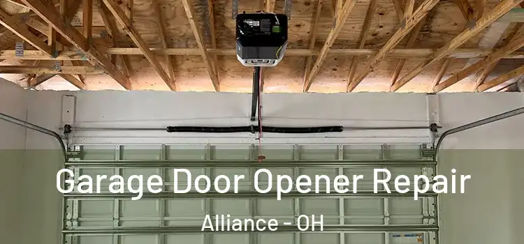  Garage Door Opener Repair Alliance - OH