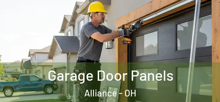  Garage Door Panels Alliance - OH