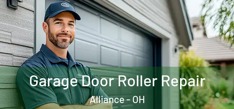  Garage Door Roller Repair Alliance - OH