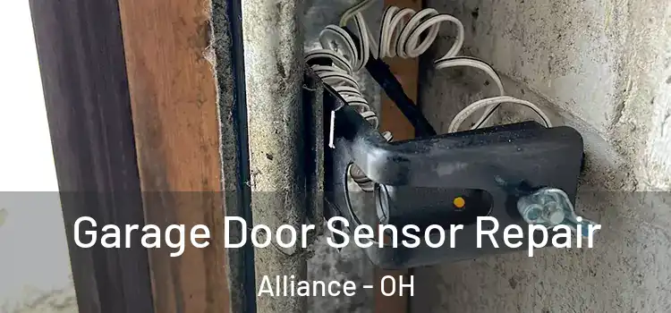 Garage Door Sensor Repair Alliance - OH