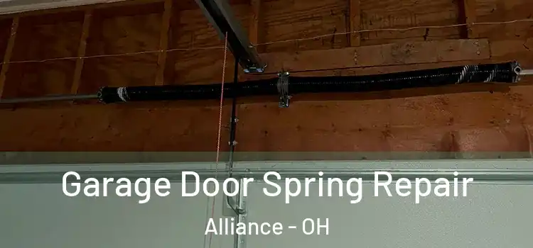  Garage Door Spring Repair Alliance - OH