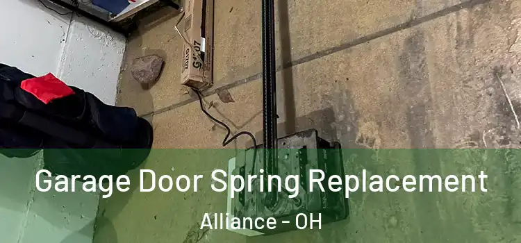  Garage Door Spring Replacement Alliance - OH