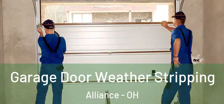  Garage Door Weather Stripping Alliance - OH