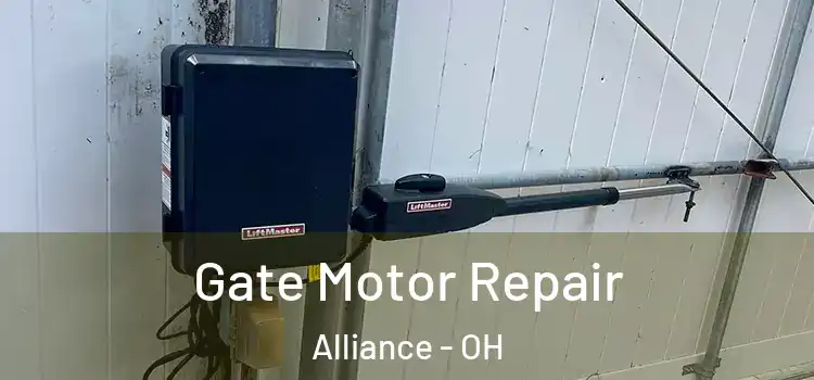 Gate Motor Repair Alliance - OH