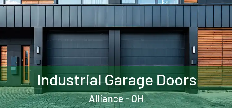  Industrial Garage Doors Alliance - OH