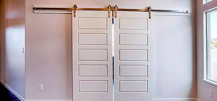 Glass Barn Door with Installation Hardware Kit Alliance