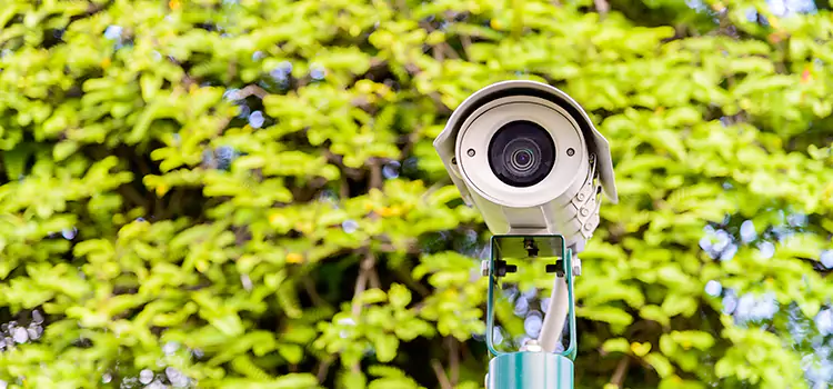 Advanced Surveillance Solutions for Every Need in Alliance