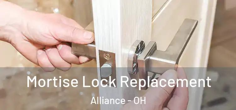  Mortise Lock Replacement Alliance - OH
