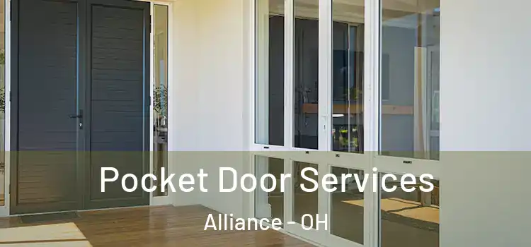  Pocket Door Services Alliance - OH