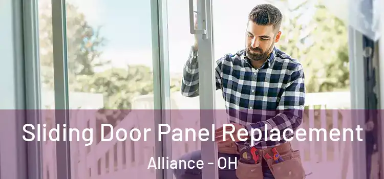  Sliding Door Panel Replacement Alliance - OH
