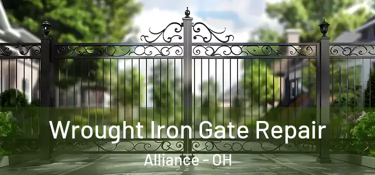 Wrought Iron Gate Repair Alliance - OH